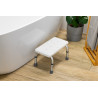 Bathroom step - StepTim