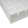 PRO Anti bedsore mattress gofer RehaComfortPro